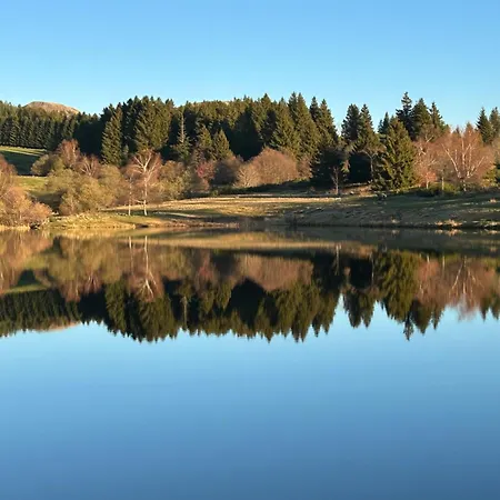Lägenhet Cosy Au Charme Montagnard Murat-le-Quaire
